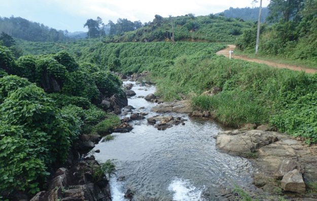 Nakiyadeniya-discovers-endemic-fish-species