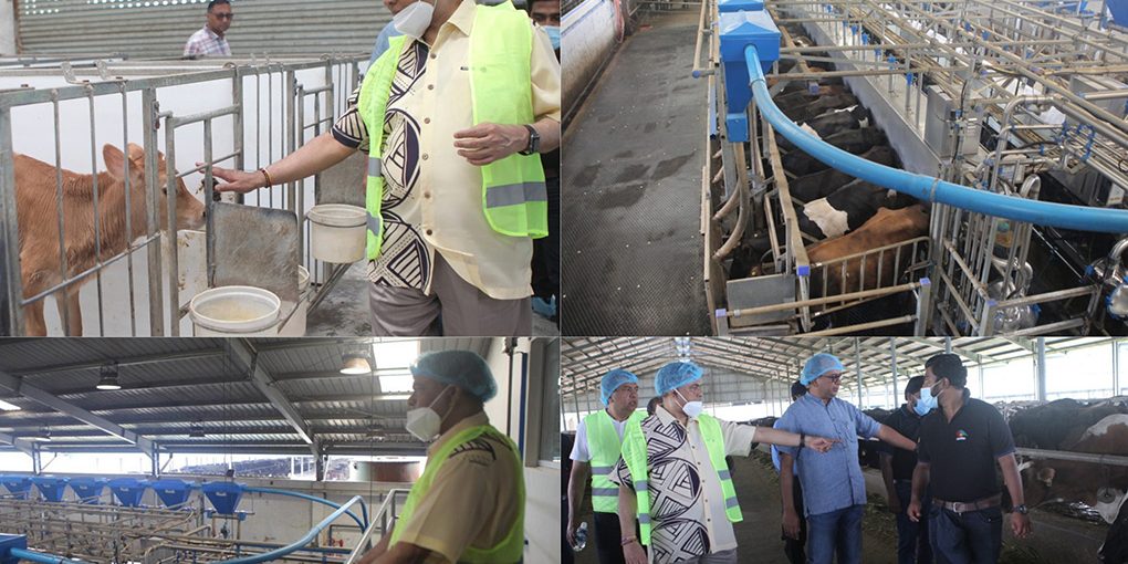 Basil-Rajapakse-visit-to-the-Watawala-Dairy-Farm