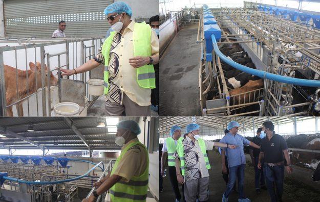 Basil-Rajapakse-visit-to-the-Watawala-Dairy-Farm