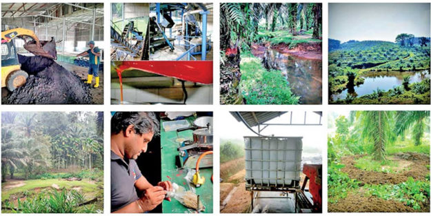 sustainable-agriculture