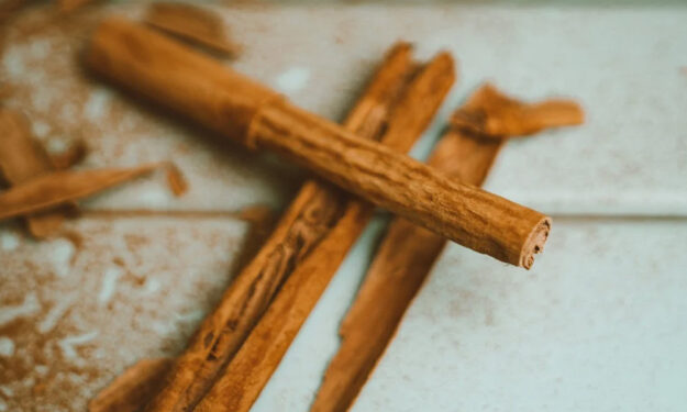 cinnamon-processing